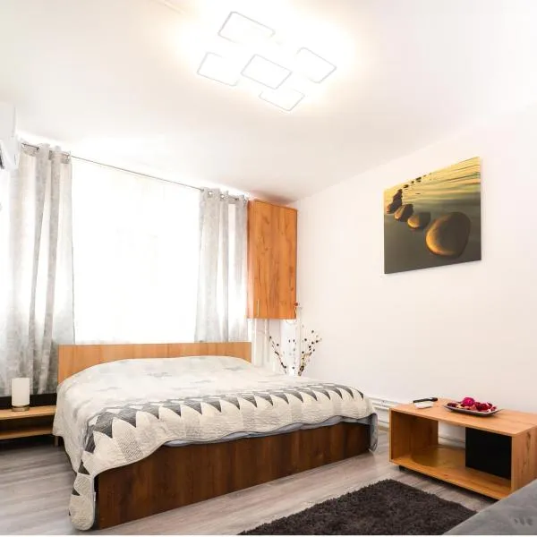 Central Grey Studio Hateg, hotel in Haţeg