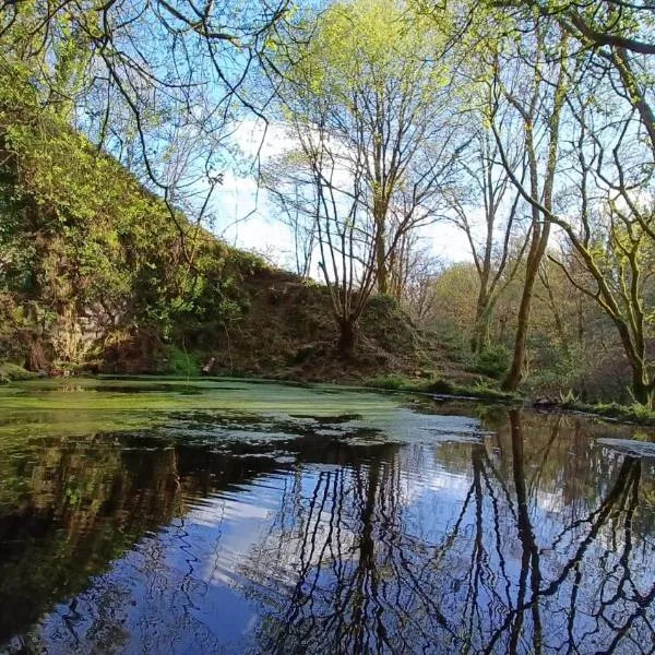Stream-side cabin and sauna, ξενοδοχείο σε Ballyduff