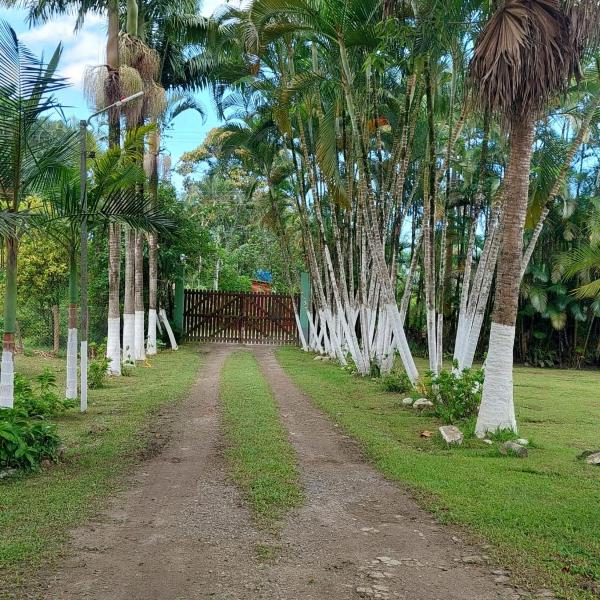 Sitio com piscina - Foto 4