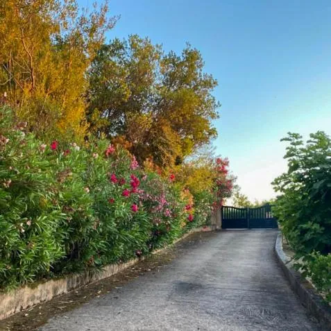 Domaine Mare e Monti - T1 Le Maquis, ξενοδοχείο σε Albitreccia