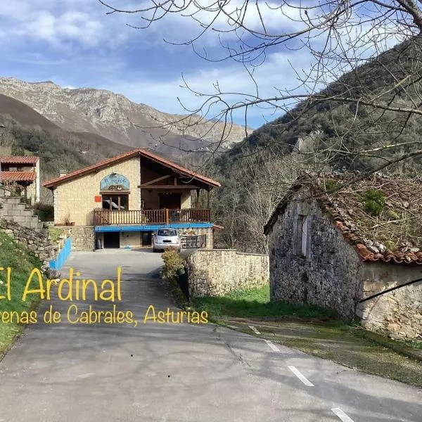 Apartamentos El Ardinal, hotel u gradu Arenas de Kabrales