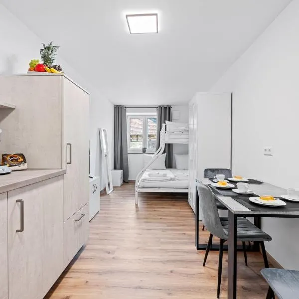 Funktionale Wohnung Bodensee A3, hotel in Ravensburg