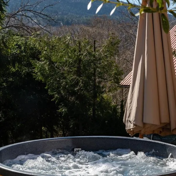 Polana Słowikowa 5 star- domek w górach z jacuzzi, sauna,basen,ogród z lasem, kominek i narty, hotel v destinaci Stróża