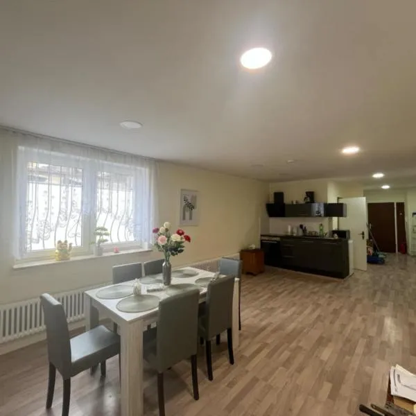 Ferienwohnung am Neumarkt, hotel v destinaci Auerbach