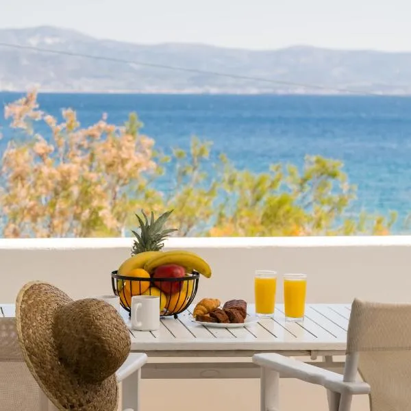 Afroditi studios, hotel v destinaci Logaras