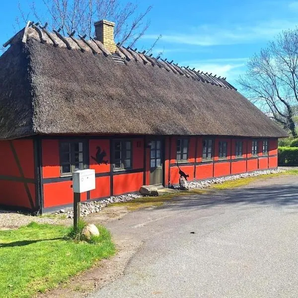 Cozy holiday home, хотел в Dalby