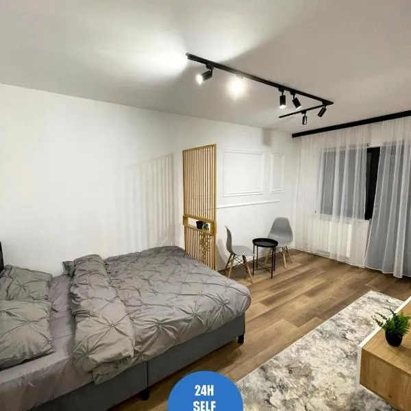 Studio Fălticeni, hotel in Fălticeni
