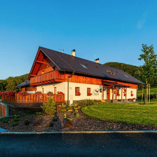 Penzion Stříbrník, hotel v destinaci Krásná