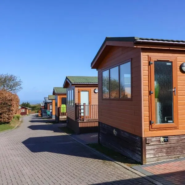 Daffodil Lodge, hotel v destinaci Ilfracombe