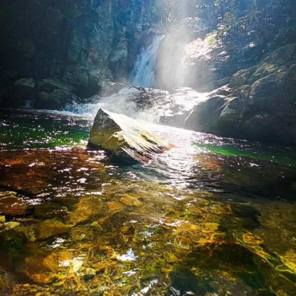 Teles Hospedagem - Foto 4