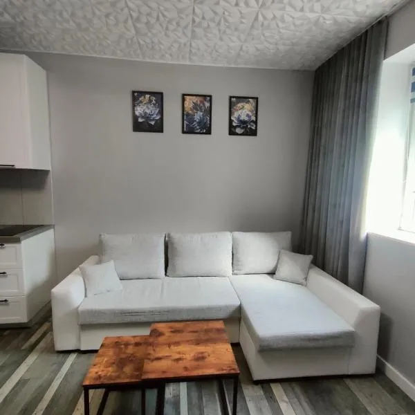 721 Slate Apartament Jedlina-Zdrój, hotel in Jedlina-Zdrój