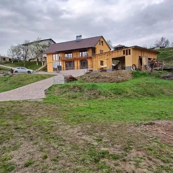 Cabana Ene Strada Poienari nr 13 A, hotel v destinaci Râmnicu Vâlcea