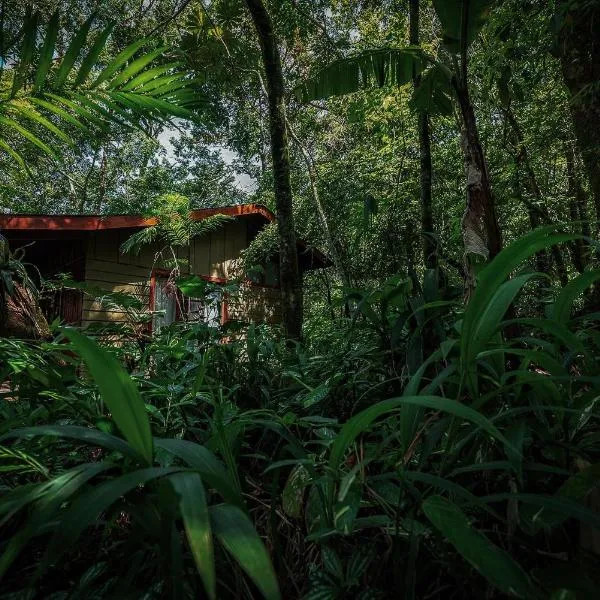 Jaguarundi Jungle Lodge - Monteverde、モンテベルデ・コスタリカのホテル