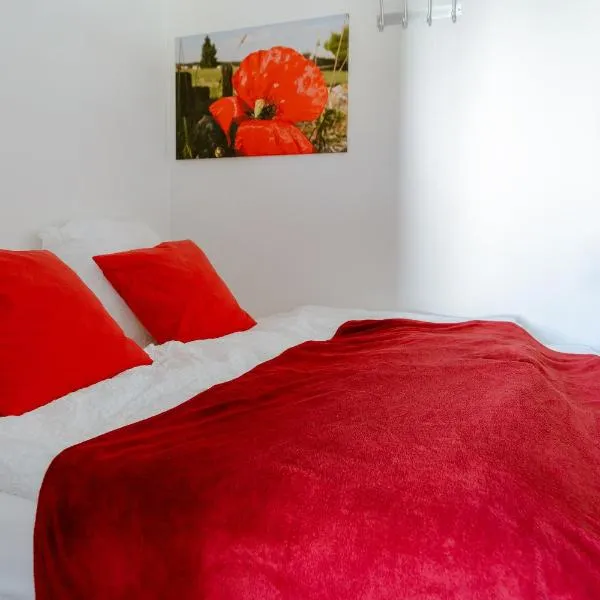 Exklusives Business Apartment, hotel in Lörrach