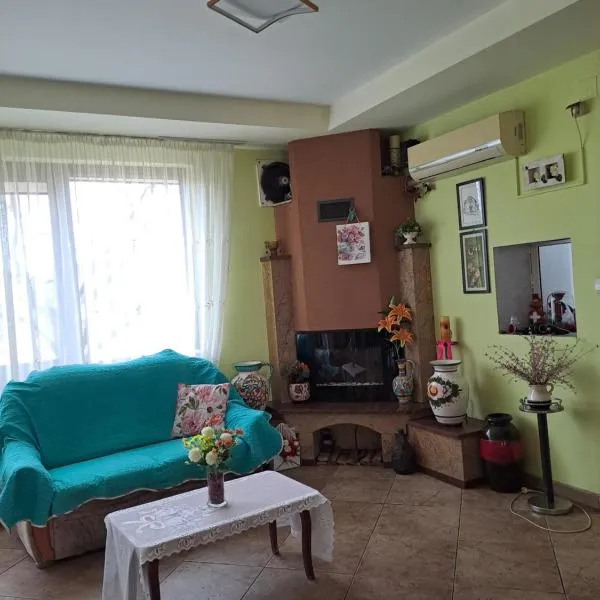 Pensiunea Daria, hotel v destinaci Căşeiu