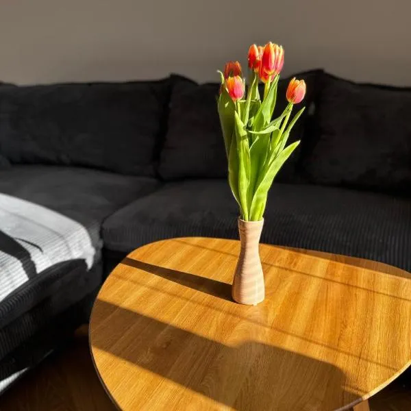 apartmán Nataly, hotel em Veľký Krtíš