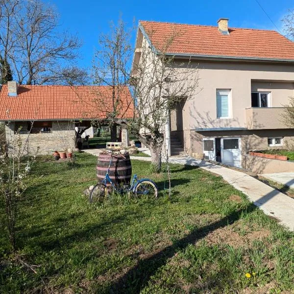 Vila Restart Čortanovci, hotel in Čortanovci
