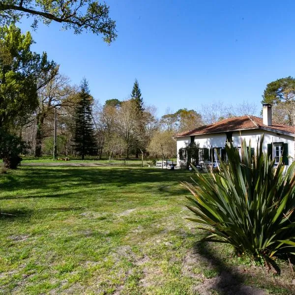 Domaine forestier Darricau au bord du lac, 12 min de l'océan, hotel v destinaci Aureilhan