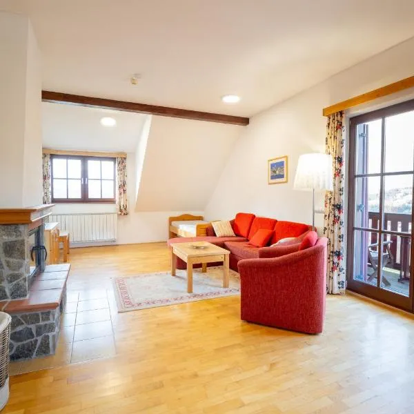 Apartmaji Bar Smučar, готель у місті Ribnica na Pohorju