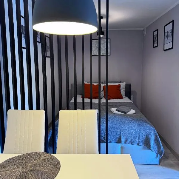 Apartament Dzikowiec, hotel v destinaci Boguszów-Gorce
