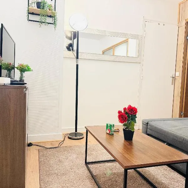 SUPERBE APPARTEMENT 2 PIÈCES AVEC GRANDE TERRASSE, hotel in Melun