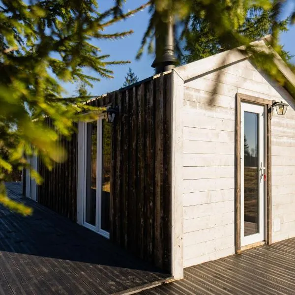 Meža namiņš Upeskrasti, hotel in Zosuļi