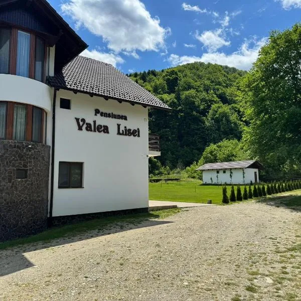 Pensiunea VALEA LISEI, hotel v destinaci Lissa