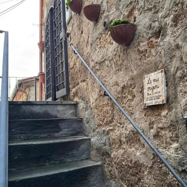 Le mie origini, hotel in Bagnoregio