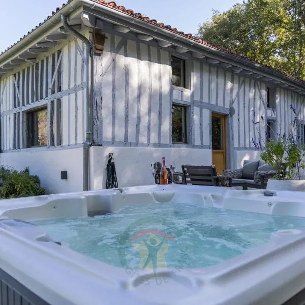 Gite et Spa La Bougerie，Bélis的飯店