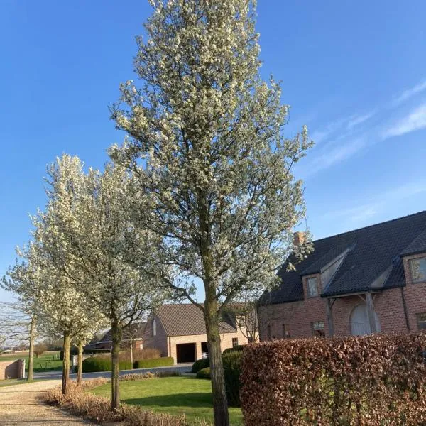 Hoeve Sterrewijk, отель в городе Алтер