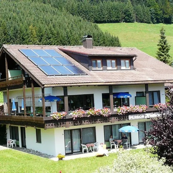 Pension Cafe Katharina, hotel in Stiefenhofen