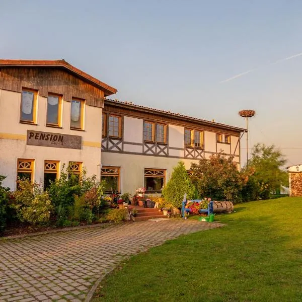 Pension Moritz und Hofladen unterm Storchennest -16303 Schwedt,Schwedter Allee1, hotel v destinaci Schwedt