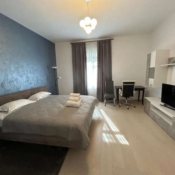 Vera Residence、ティミショアラのホテル