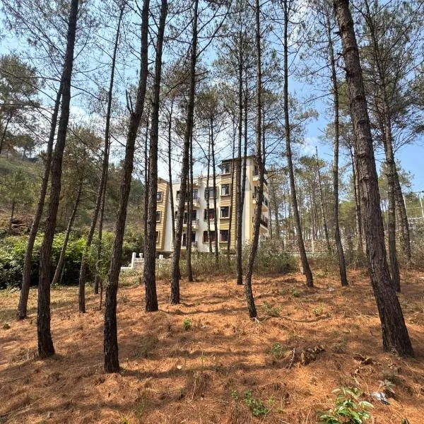 XTSY Travellers Hostel, hotel v destinaci Šillong