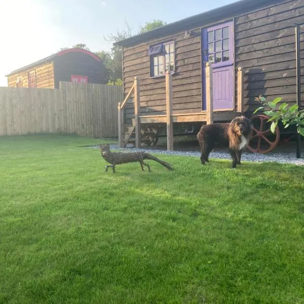 Fox lodge Shepherd Hut Sidmouth、シドマスのホテル