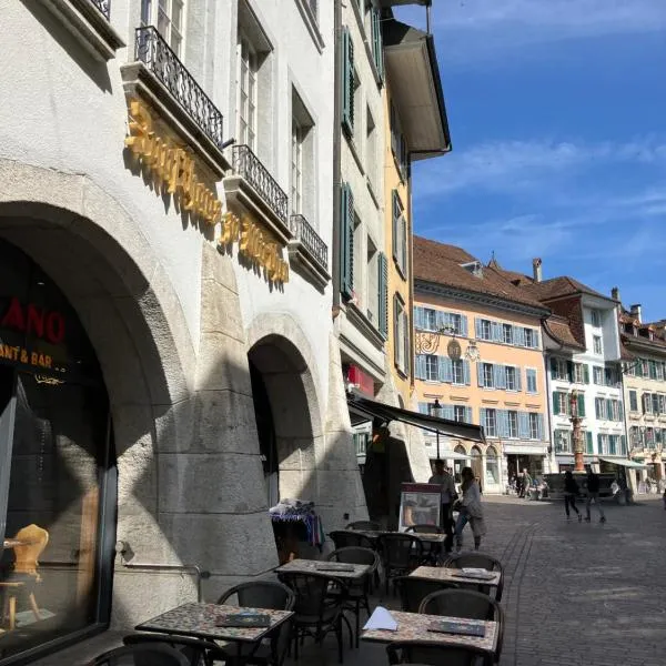 Zunfthaus zu Wirthen, hotel v destinaci Solothurn