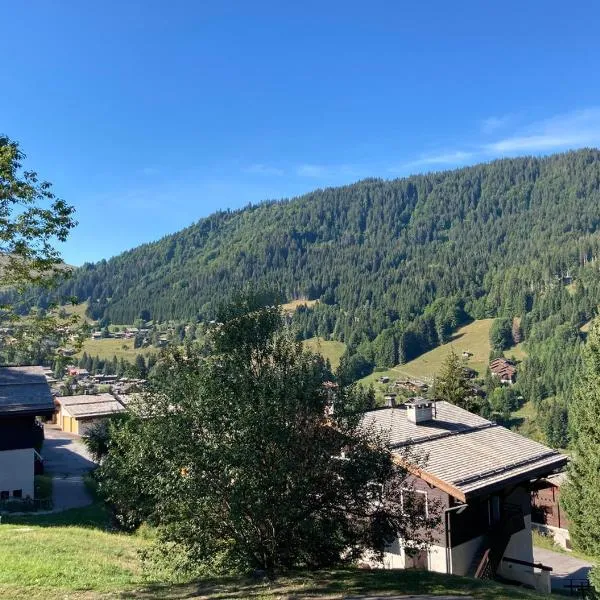 Appartement 3 pieces, proche des activités, wifi et parking gratuit, hotel a La Clusaz