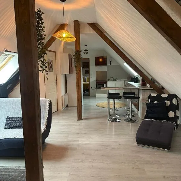 L'Alcôve Alsacienne avec climatisation et terrasse, hotel v destinaci Entzheim