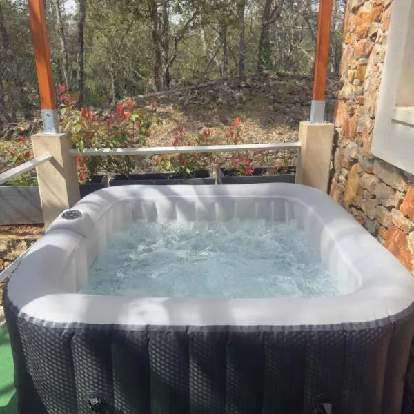 Le Cocon en pierre au coeur du Verdon et son spa en supplément gîte "Le Repos Des Chênes", hotel en Régusse
