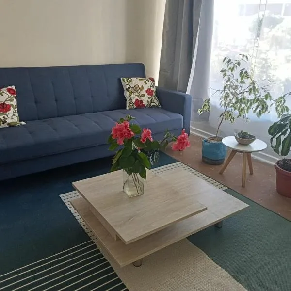 Departamento Avenida Peru, hotel in Viña del Mar