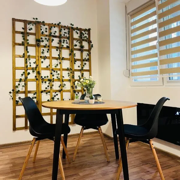 Studio Apartment Gradić, hotel v destinaci Petrovaradin