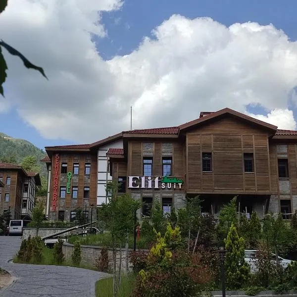 Ayder Elif Apart Daire, hotel in Ayder Yaylasi
