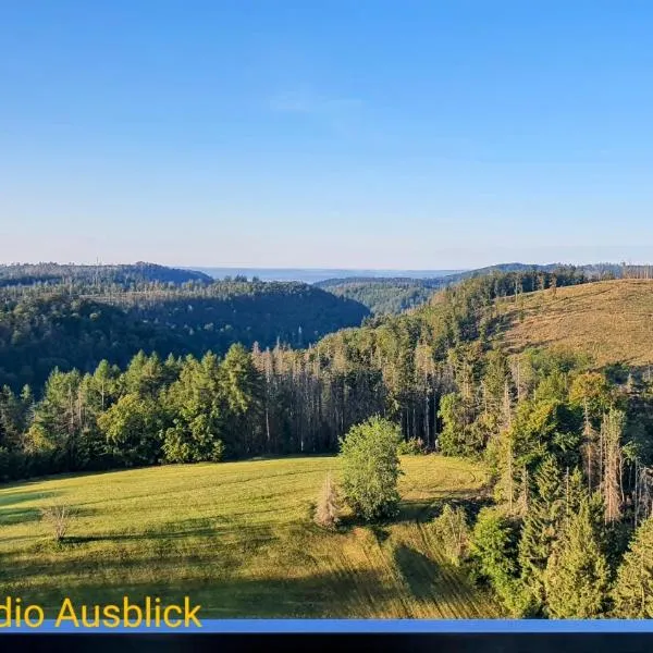 Modernes Harz Studio Apartment Ferienwohnung über den Baumspitzen, hotel v destinaci Braunlage