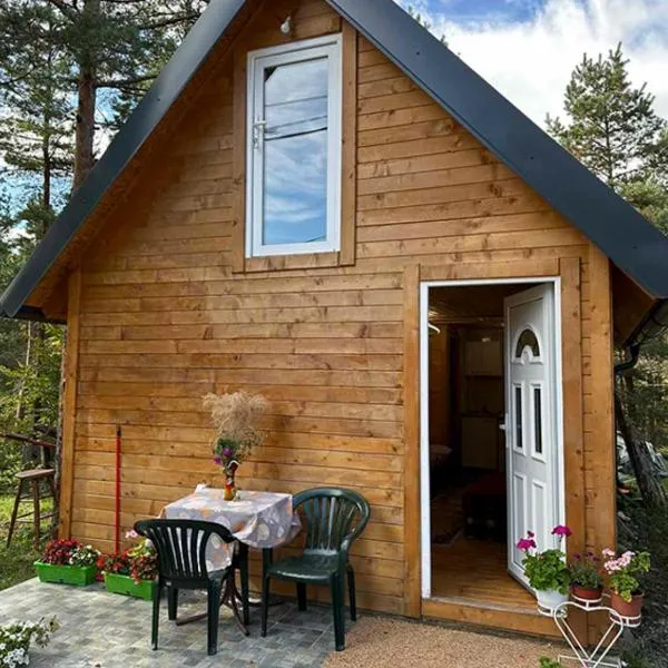 Apartman Jana, hotel v destinaci Divčibare