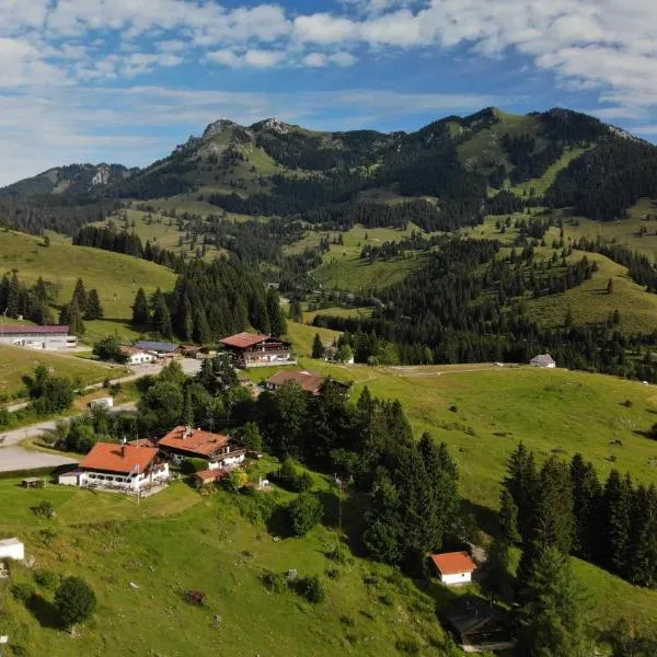 Almgasthof Grafenherberg, hotel v destinaci Oberaudorf