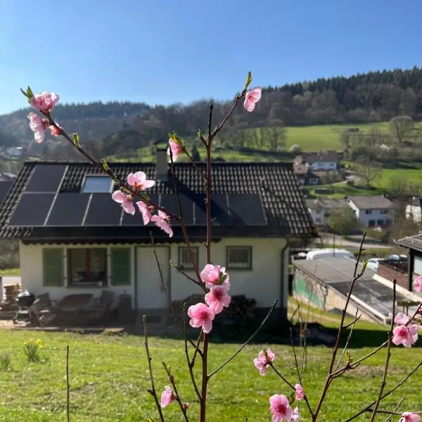 Ferienhäusel Allemühl, Hotel in Schönbrunn