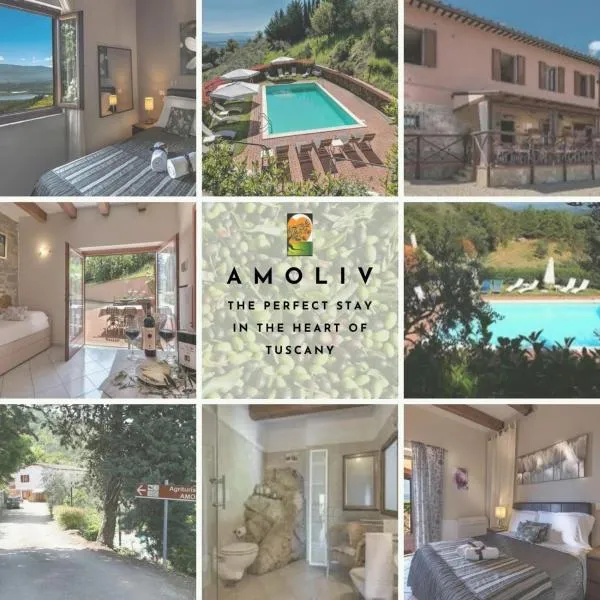 Amoliv, hotel Arezzóban