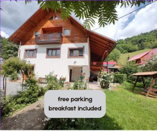 Pensiunea Piatra Mandrutului, hotel v destinaci Scărişoara