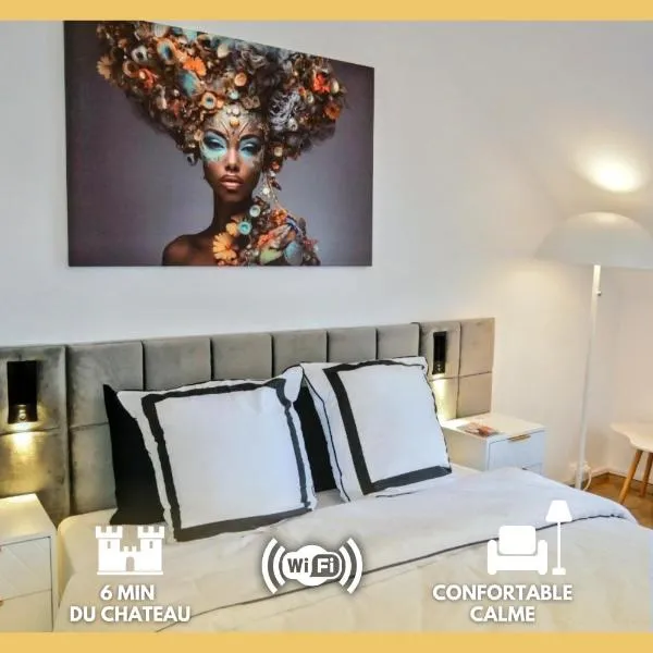 Nid douillet tout équipé, 6 min château d'Amboise, hotel in Amboise