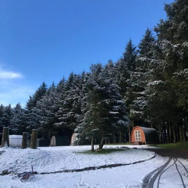 Colliford Lake Hotel & Campsite, hotel v destinaci Bolventor